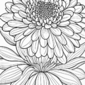 The highest quality Flowers Adult Coloring Book on the market.
