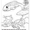 Fish Coloring Page