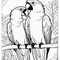 The highest quality Birds Adult Coloring Book on the market.