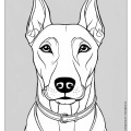 The highest quality Dogs Adult Coloring Book on the market.